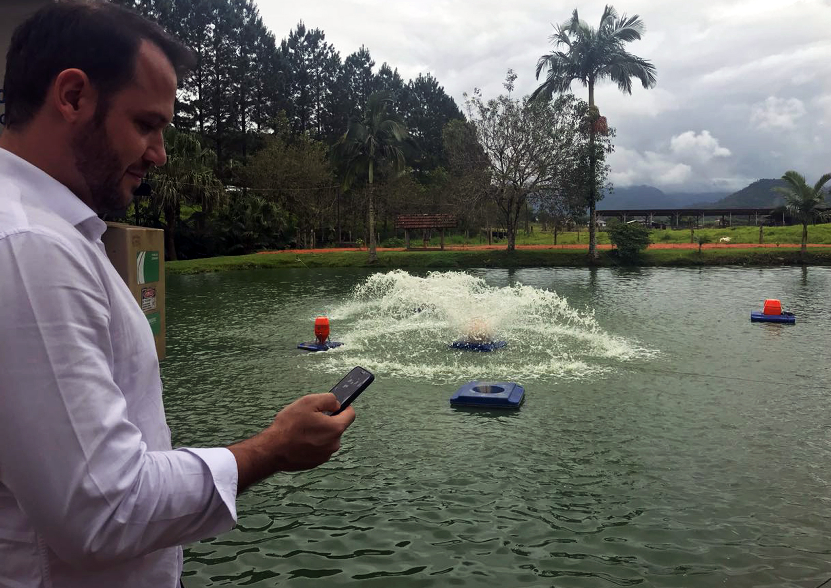 Plataforma online IoFish está em desenvolvimento e busca acompanhar em tempo real o bem-estar de peixes em tanques | Divulgação/