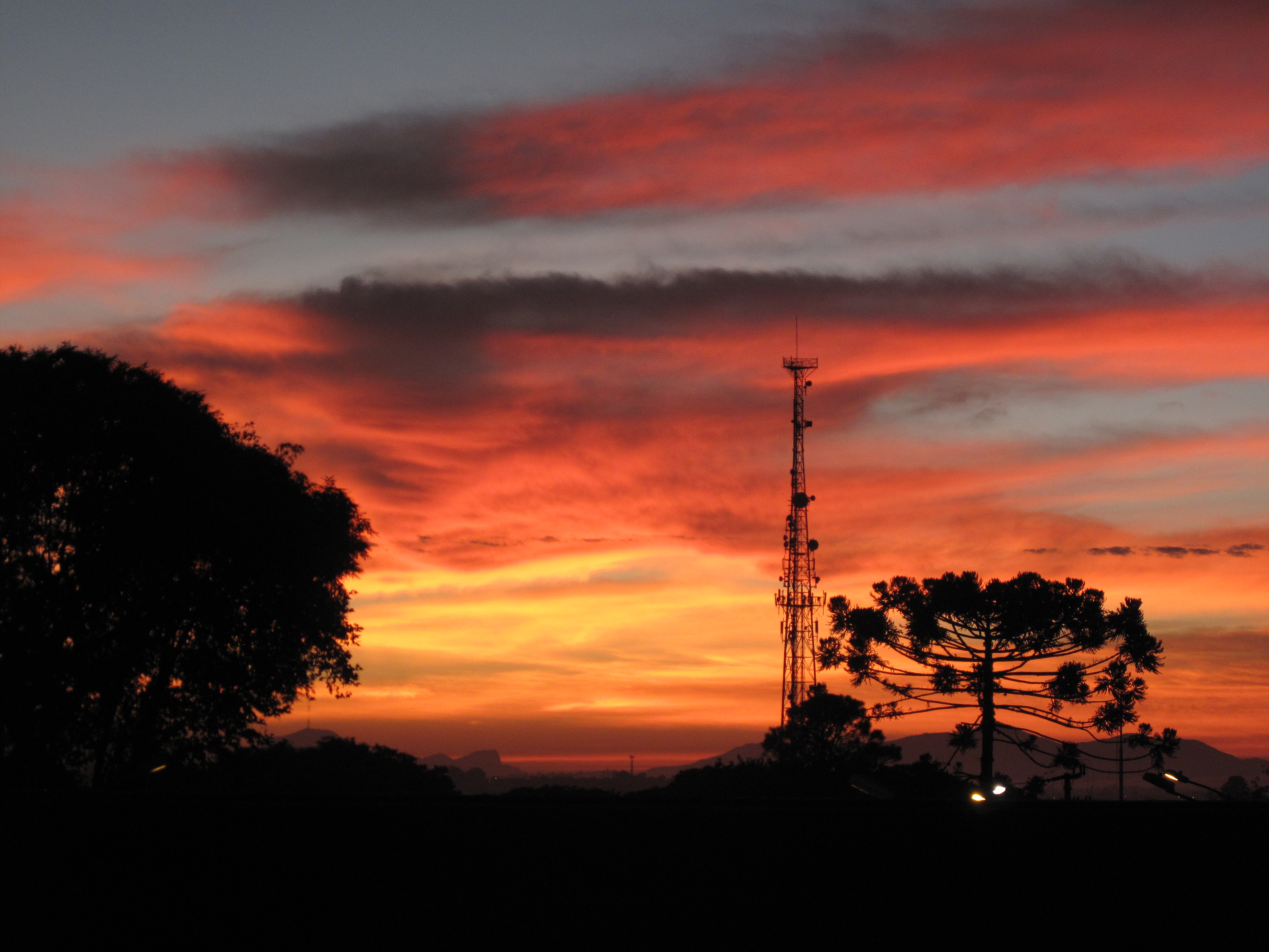 | Aniele Nascimento/Gazeta do Povo