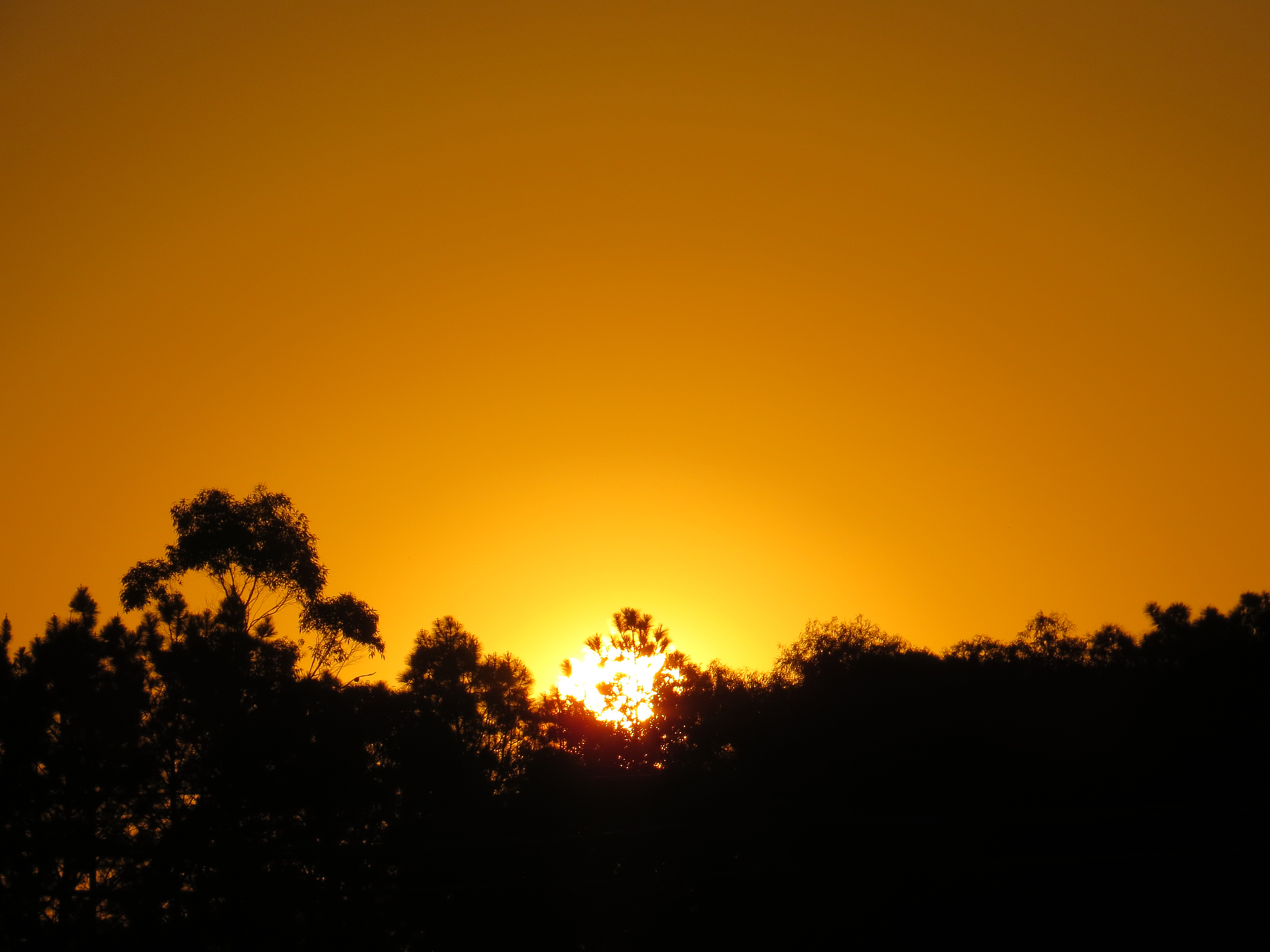 | Aniele Nascimento/Gazeta do Povo