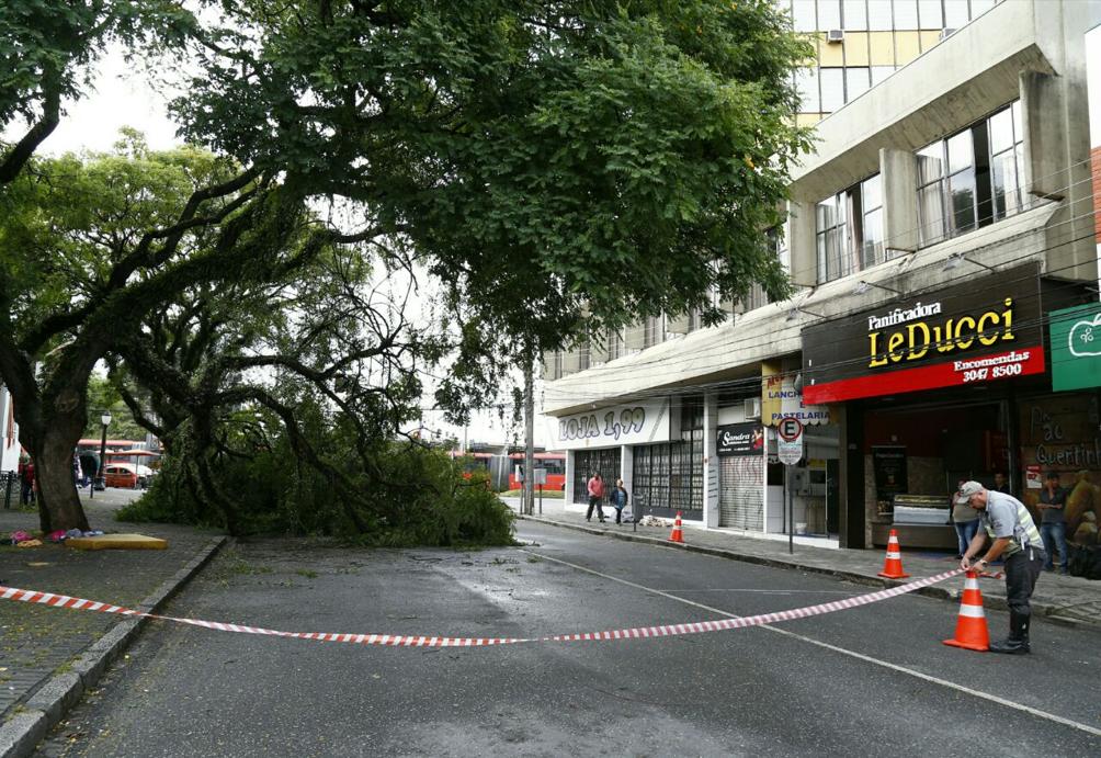 Galho bloqueia o trânsito na Rua General Carneiro, no Centro. | Aniele Nascimento/Gazeta do Povo