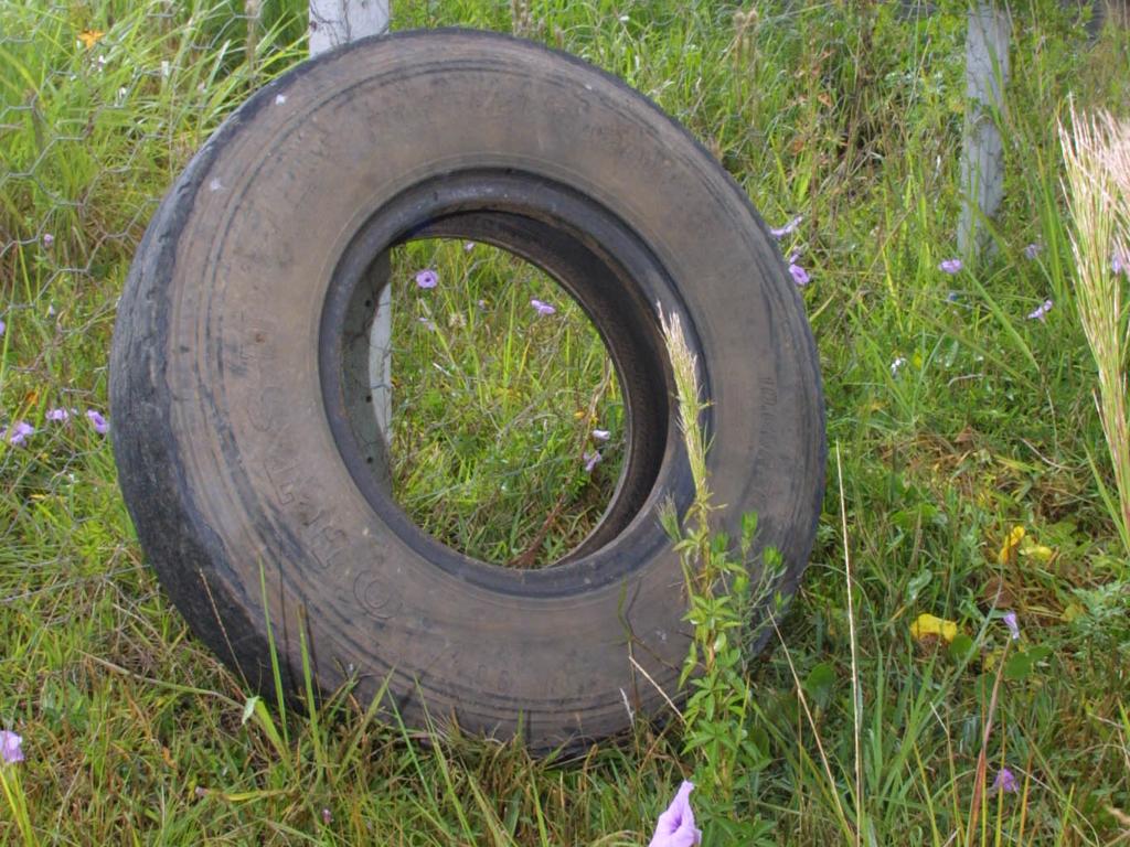 | Arnaldo Alves/Gazeta do Povo