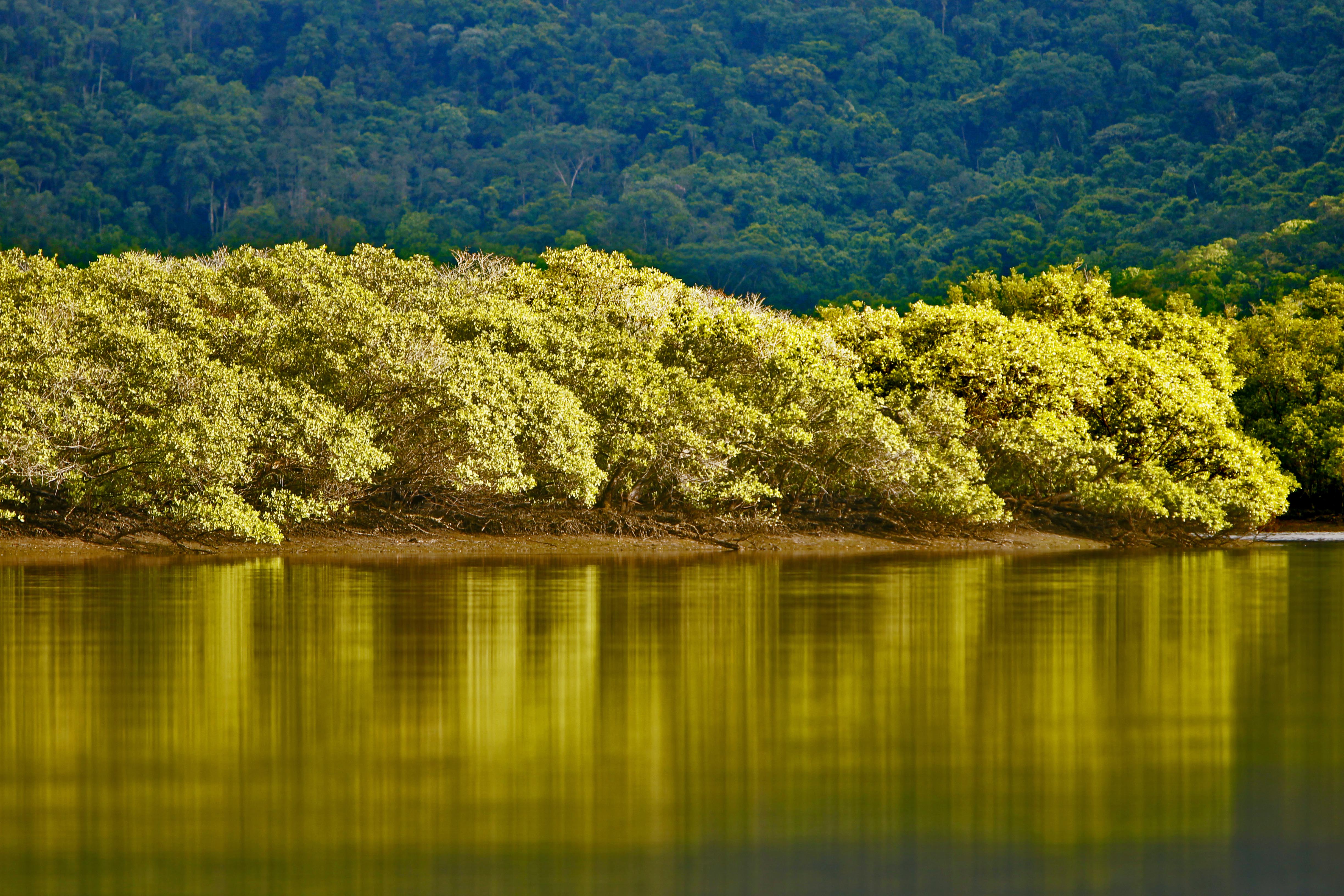 | Albari Rosa/Gazeta do Povo