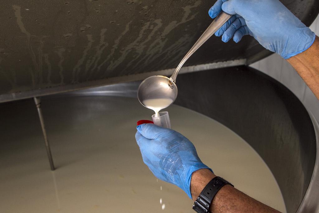 Produção de leite: modalidade em pó do Uruguai estava sob suspeita | Daniel Caron/Gazeta do Povo