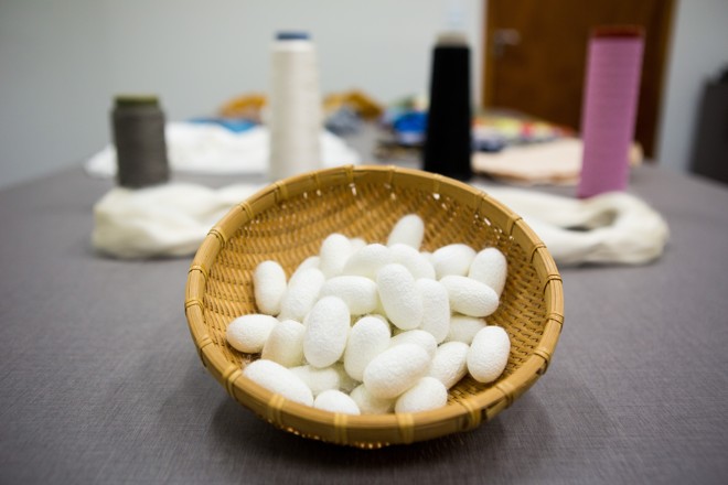  | BRUNNO COVELLO/BRUNNO COVELLO