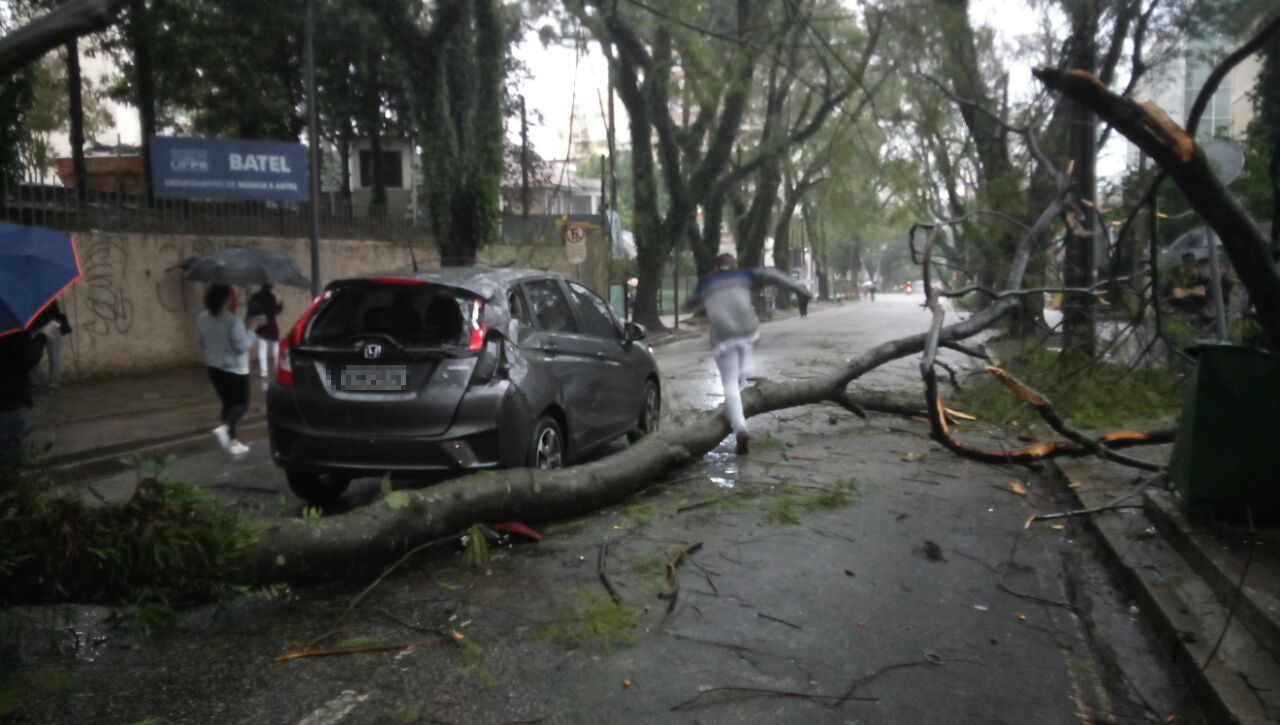 | Colaboração/Rafael Waltrick/