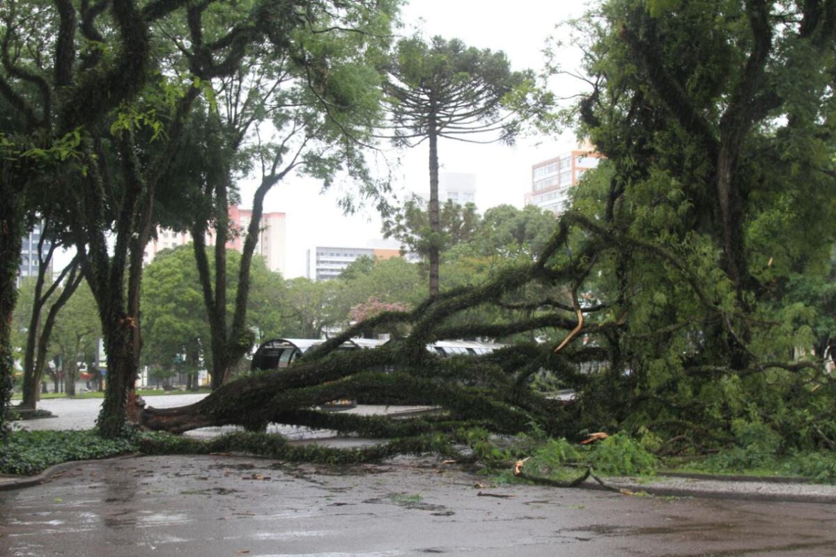 | Gerson KlainaTribuna do Paraná