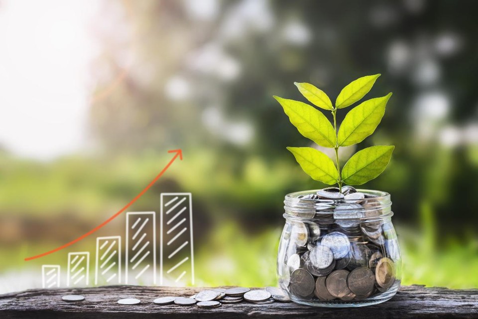 Em tempos de Selic em queda, os fundos de multimercado ganharam a preferência justamente por serem considerados um pontapé na renda variável. | Bigstock