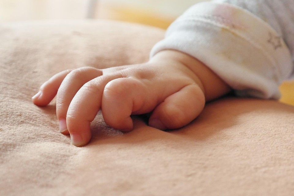 A Planned Parenthood enfrenta grandes problemas com a lei. Isto pode mudar tudo |