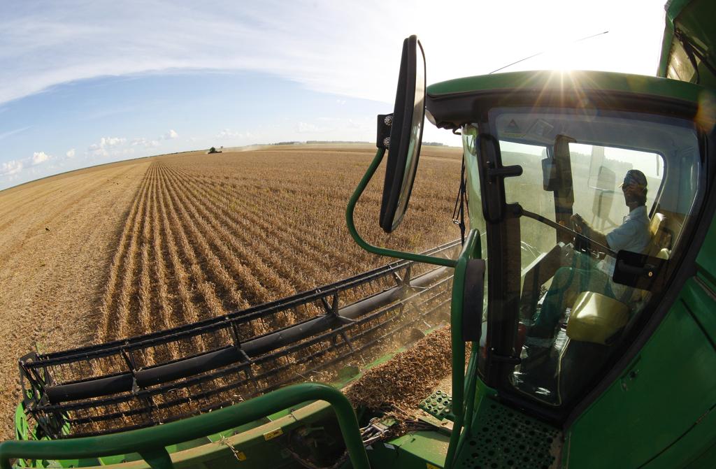 Colheita de soja em São Desiderio, interior da Bahia | Hugo Harada /Gazeta do Povo