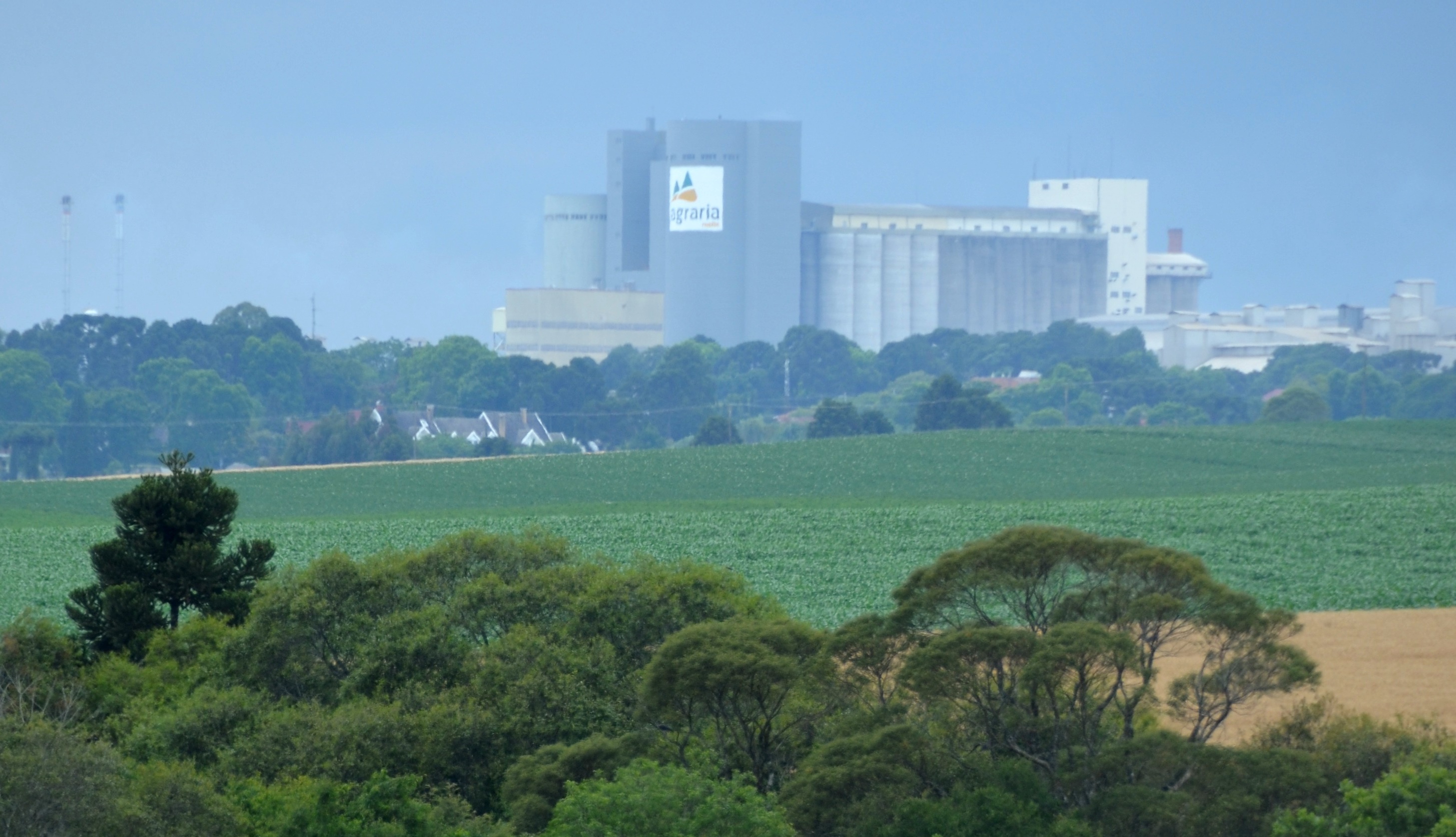 Objetivo da parceria é abrir portas para a Agrária no mercado internacional. | Divulgação/Agrária