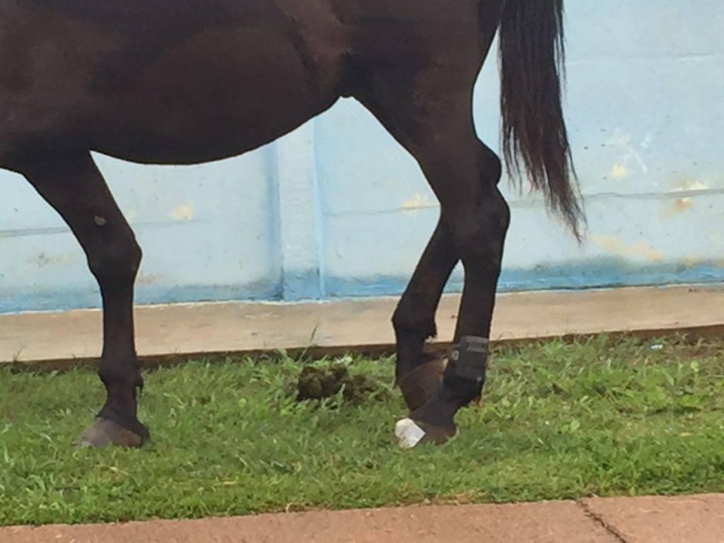  | Colaboração/aRede/COP