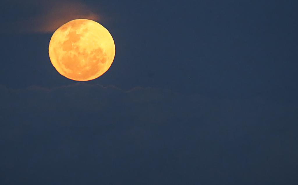 | Maicon J. Gomes/Gazeta do Povo