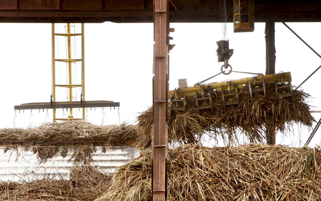 Crise do setor de cana-de-açúcar é decorrente do baixo preço do açúcar e do controle nos preços do etanol. | Hugo Harada/Gazeta do Povo