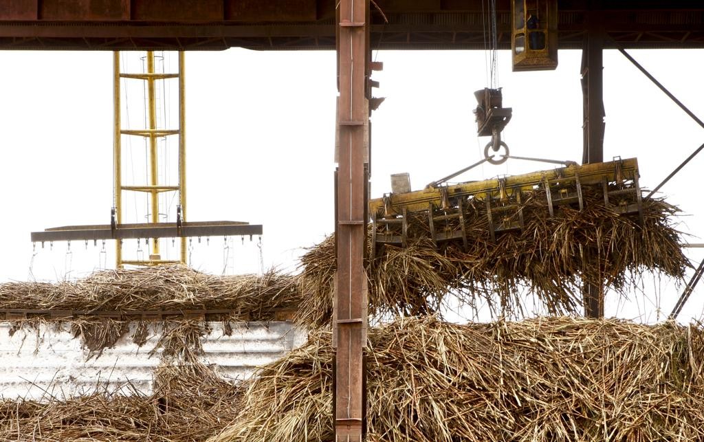 Crise do setor de cana-de-açúcar é decorrente do baixo preço do açúcar e do controle nos preços do etanol.