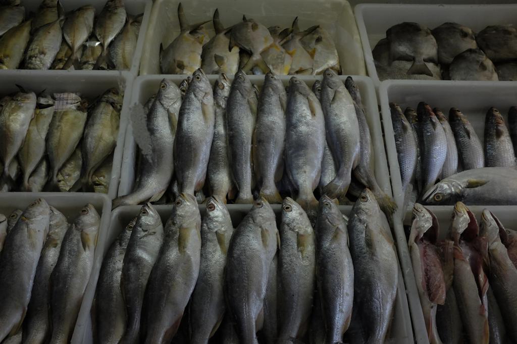 Críticas dos europeus se concentraram sobre cuidados sanitários na atividade extrativista | Arquivo/Gazeta do Povo