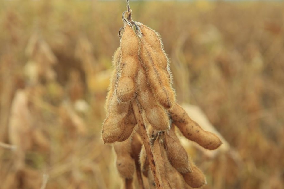 | Arquivo/Gazeta do Povo