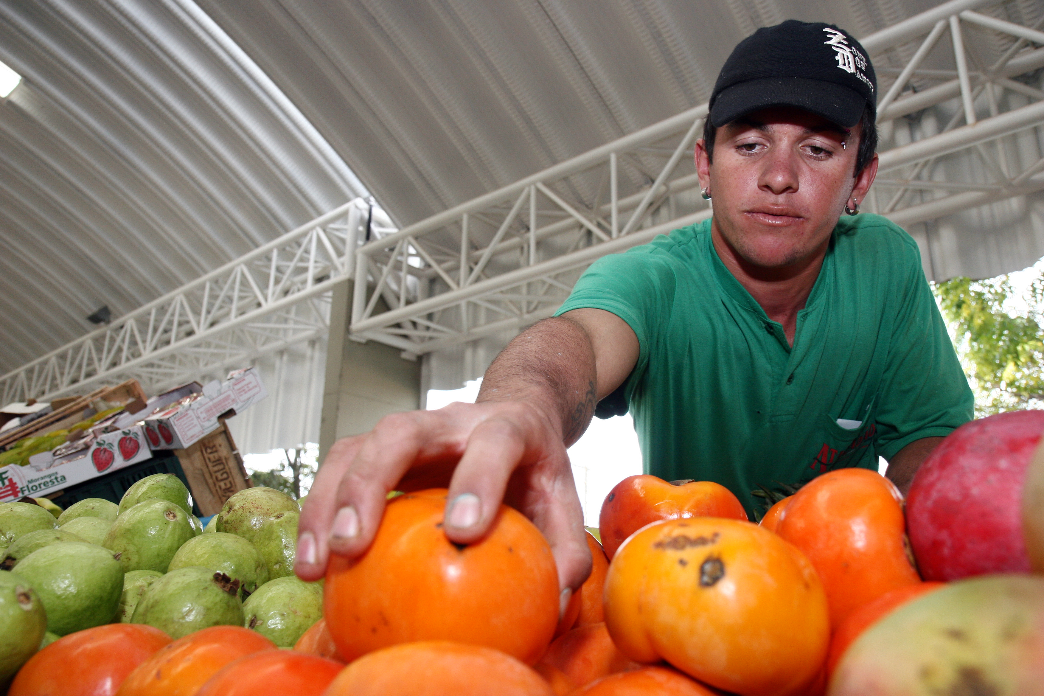 União Europeia é o principal mercado comprador das frutas brasileiras, adquirindo mangas, mamão, melões, limão, laranjas, entre outros produtos. Os Estados Unidos são o segundo maior comprador, mas praticamente se restringem à importação de manga e mamão, segundo o diretor técnico da Abrafrutas, Jorge de Souza | HENRY MILLEO/GAZETA DO POVO