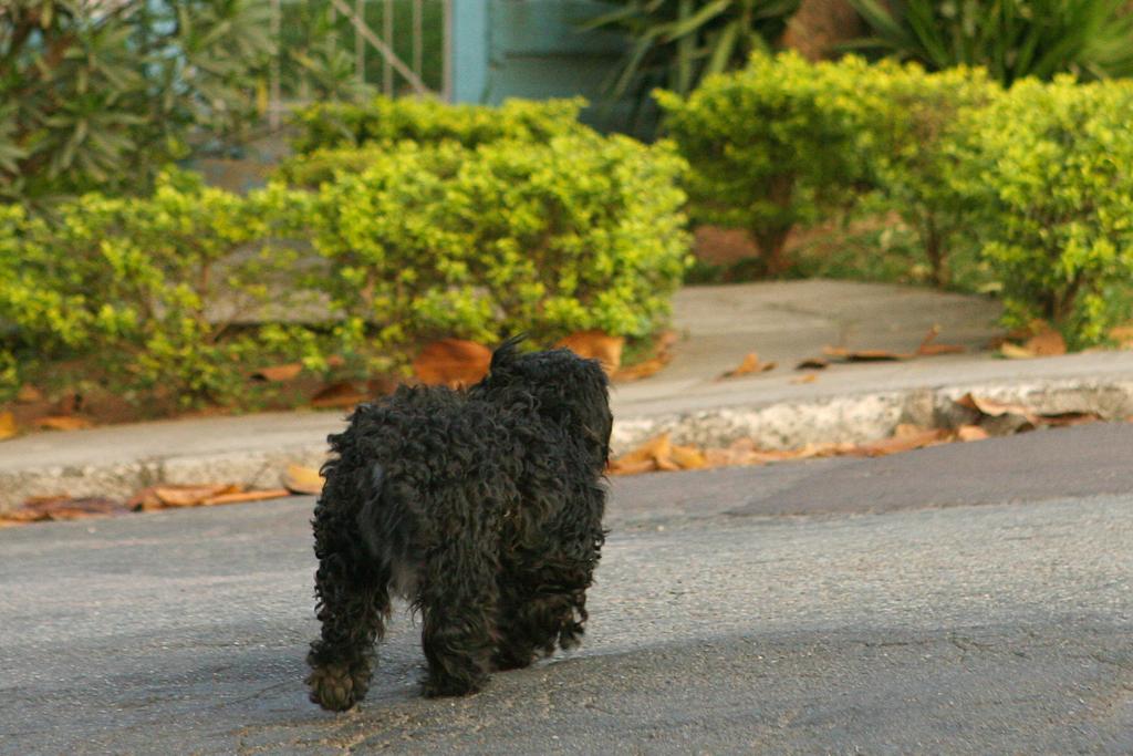 | Antônio More /Gazeta do Povo/Arquivo