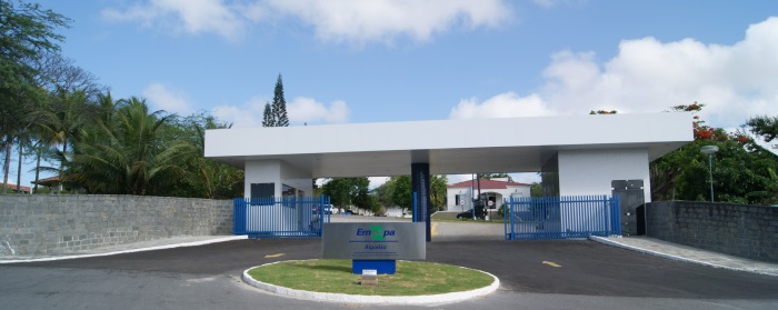 Entre as modalidades disponíveis estão: estágio remunerado, estágio obrigatório (sem remuneração) e bolsista de iniciação científica. | /