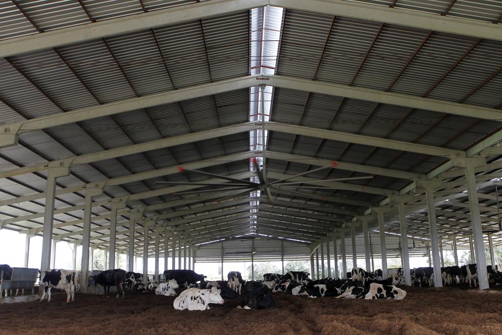 Equipamento criado pela Startup Agroconforto identifica condições de temperatura, umidade, luz, vento e gases nocivos em galpões de vacas leiteiras. | Daniel Caron/Gazeta do Povo