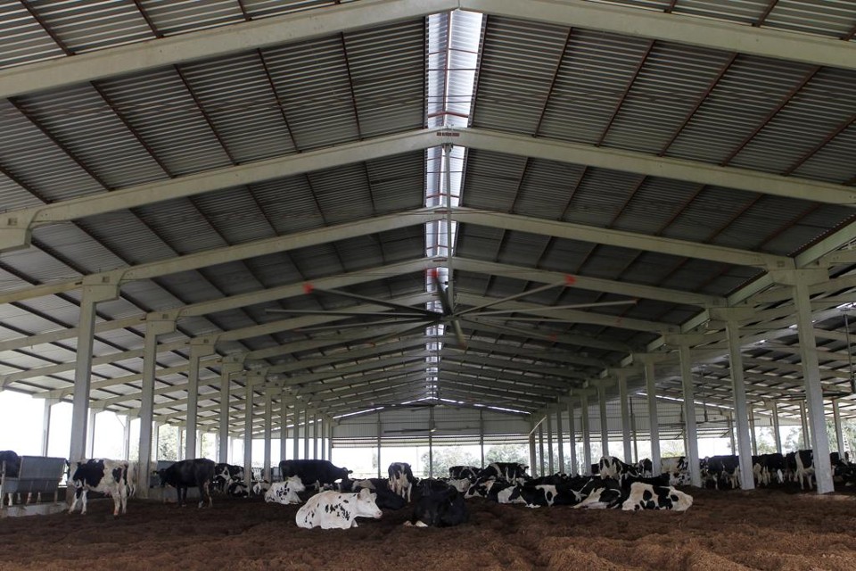 Equipamento criado pela Startup Agroconforto identifica condições de temperatura, umidade, luz, vento e gases nocivos em galpões de vacas leiteiras. | Daniel Caron/Gazeta do Povo