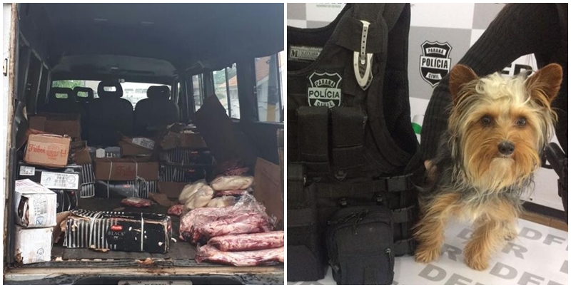 Carga de carne de churrascaria e cachorrinho foram alguns dos produtos interceptados pela polícia em 2017. | Polícia Civil/
