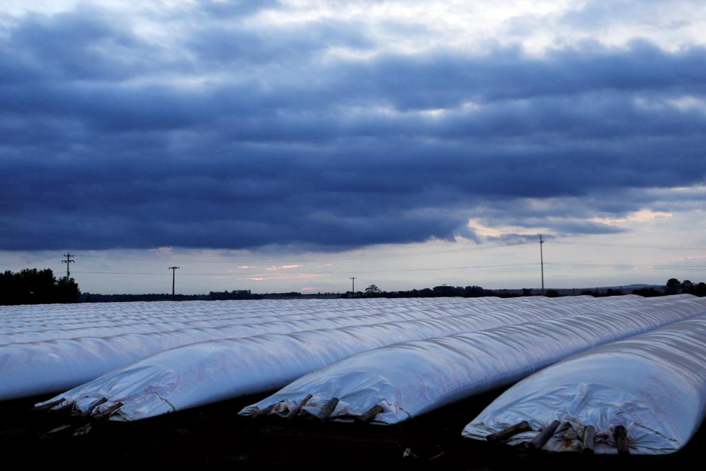  | Albari Rosa/Gazeta do Povo