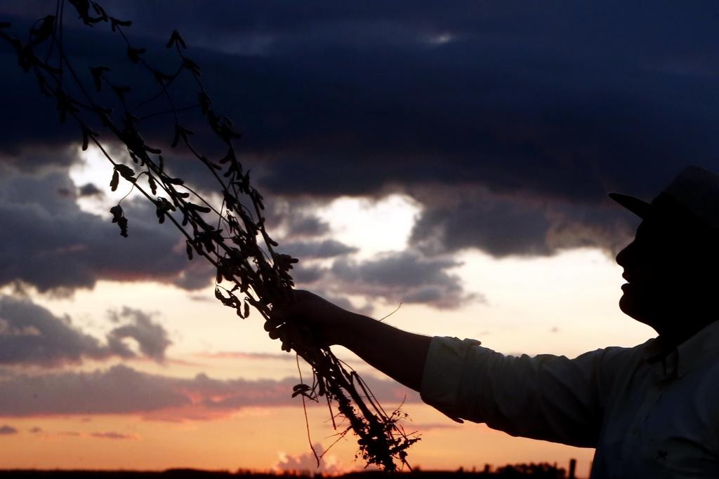 Especialistas acreditam que a mudança não é suficiente ainda para o desafio que a produção rural enfrenta com o envelhecimento de agricultores e pecuaristas.