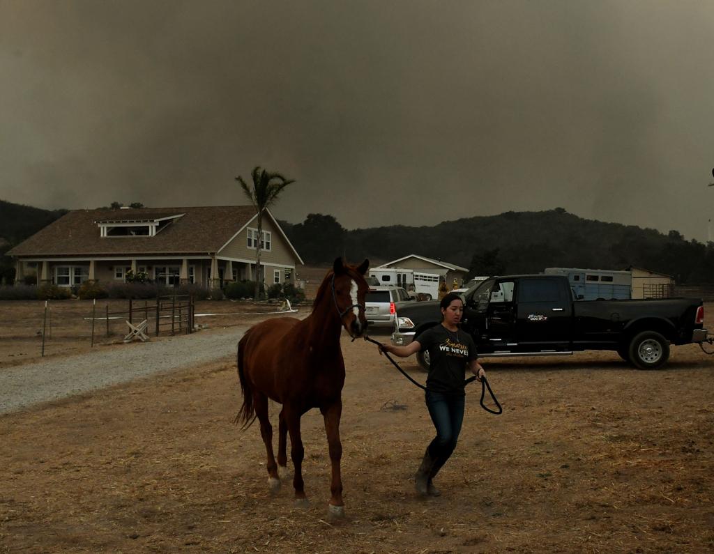 Mulher tenta levar cavalo a lugar seguro durante incêndio que atinge o Sul da Califórnia | MARK RALSTON/AFP