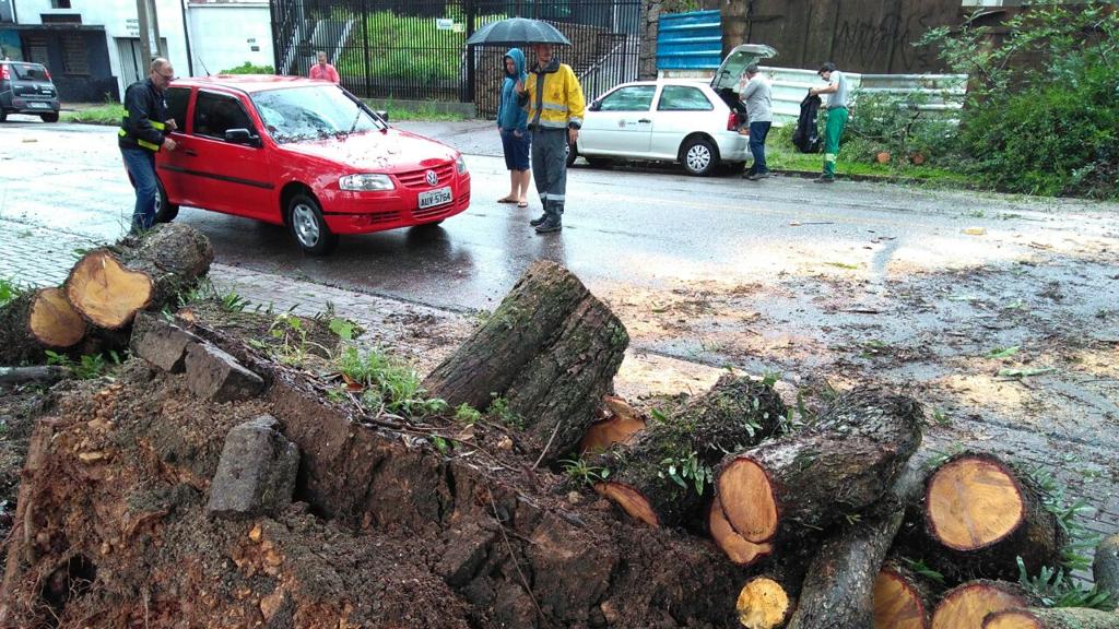Carro que foi atingido por árvore na Mateus Leme. | Aniele Nascimento/Gazeta do Povo