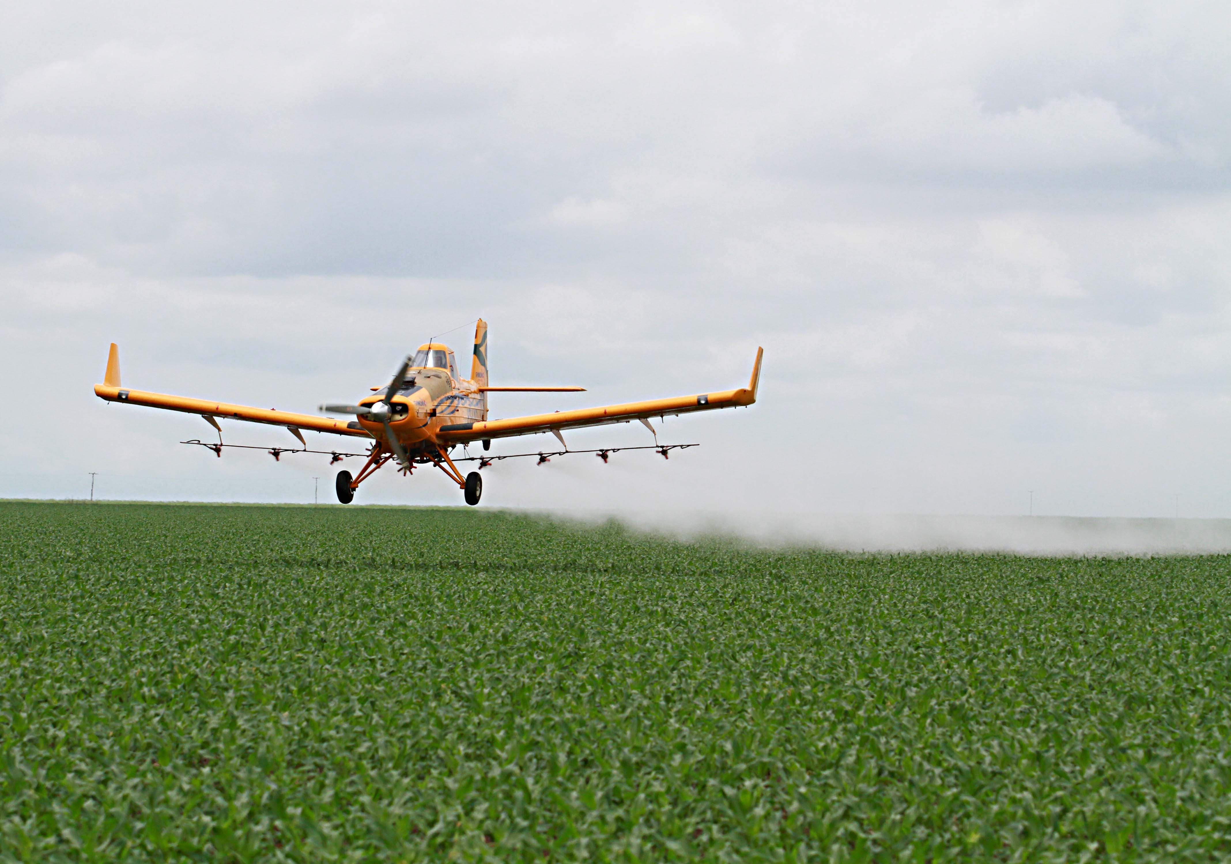 Com bons resultados nas primeiras safras dos anos 2010, o clima foi um inimigo implacável entre 2013 e 2016, no Matopiba, com quebras que chegaram à casa dos 60% em algumas regi | CHRISTIAN RIZZI/Gazeta do Povo