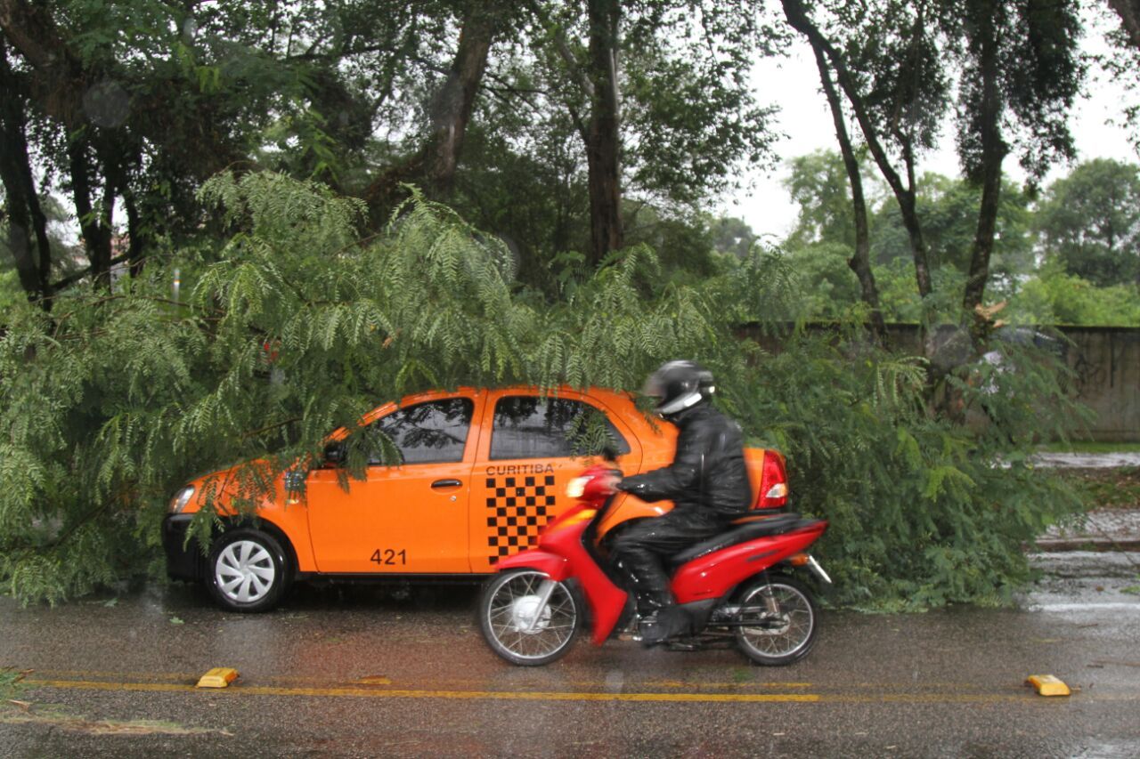 | Gerson Klaina/Tribuna do Paraná