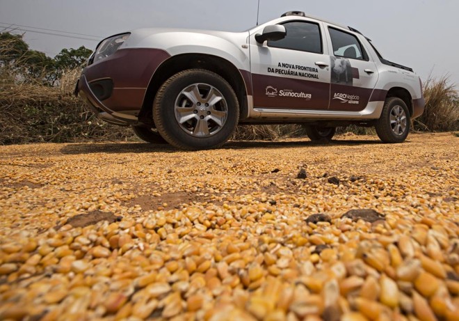 A Expedição Suinocultura é uma iniciativa do Núcleo de Agronegócio Gazeta do Povo | JONATHAN CAMPOS/GAZETA DO POVO
