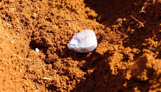 A negociação inclui a aquisição de ativos da Dow no Brasil, o acesso total ao banco de germoplasma de milho brasileiro, a marca Morgan e a licença para utilização da marca da Dow Sementes por 12 meses. | Arquivo/Gazeta do Povo