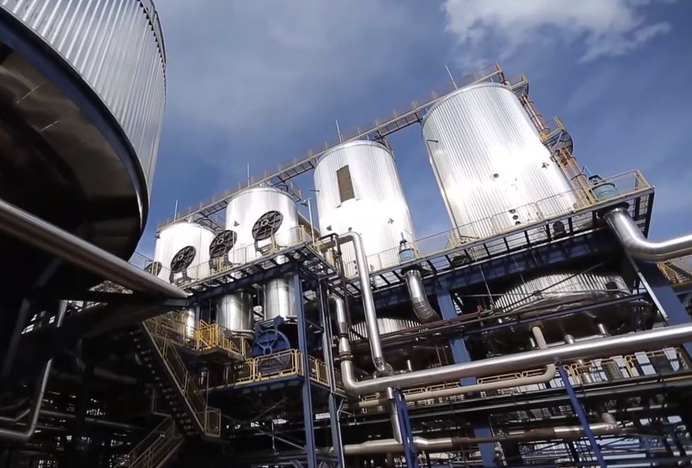 Empresa faturou R$ 4,4 bilhões na última safra | Reprodução/