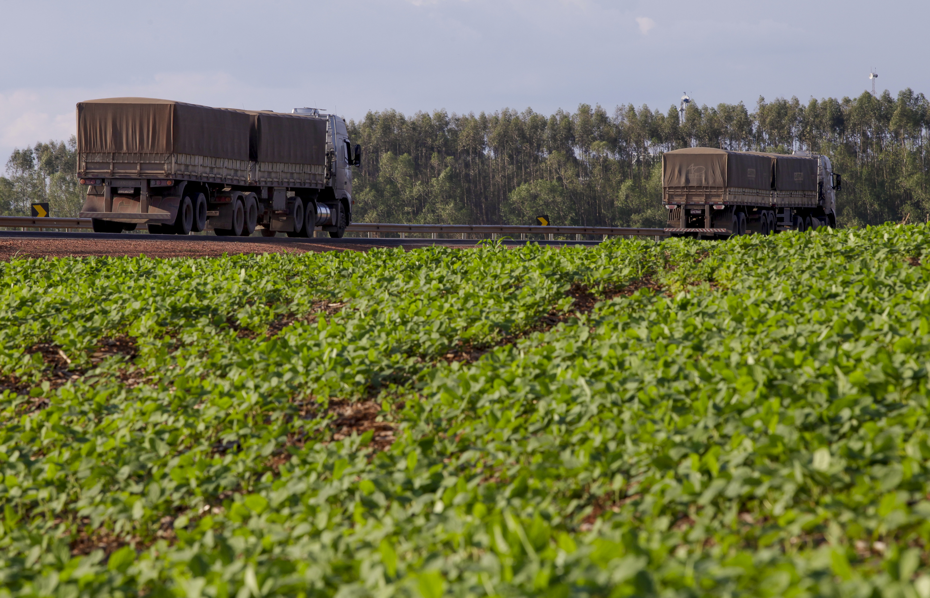 O transporte rodoviário é responsável por 80% da movimentação de cargas do País, informou a FPA. | HUGO HARADA/Gazeta do Povo
