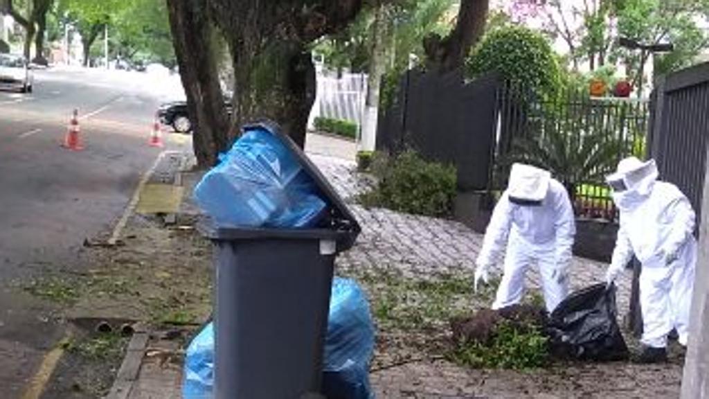 Corpo de Bombeiros foi acionado para retirar as abelhas do Condmínio Colina Dalenon, no Bigorrilho. | Colaboração Jackson Guelmann/