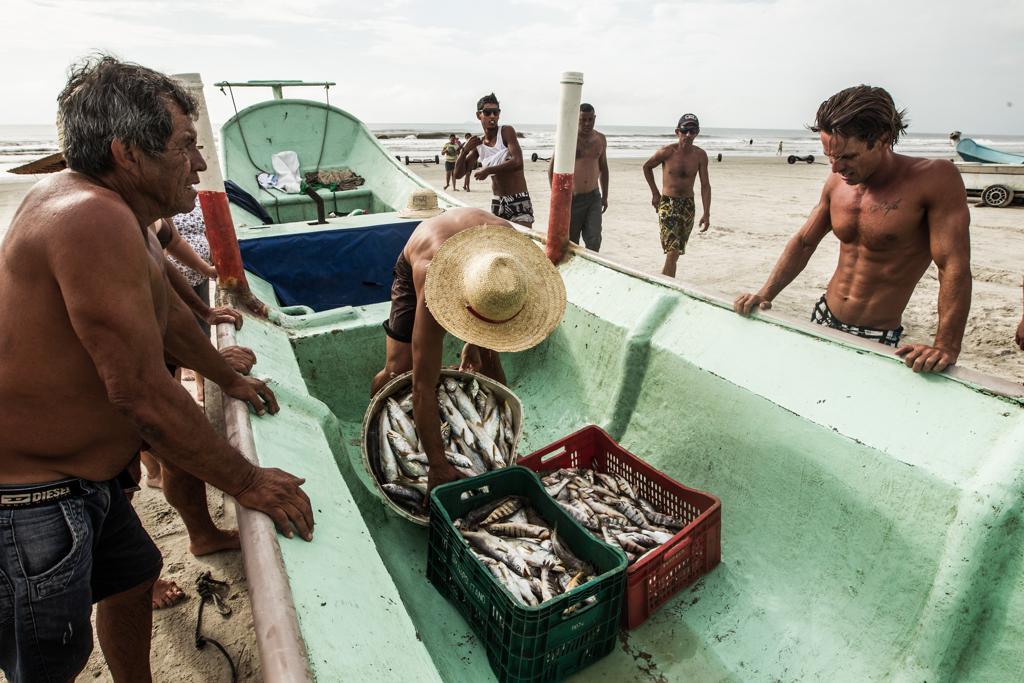 O setor movimenta pouco mais de R$ 4 bilhões por ano e emprega 1 milhão de pessoas. | BRUNNO COVELLO/Gazeta do Povo