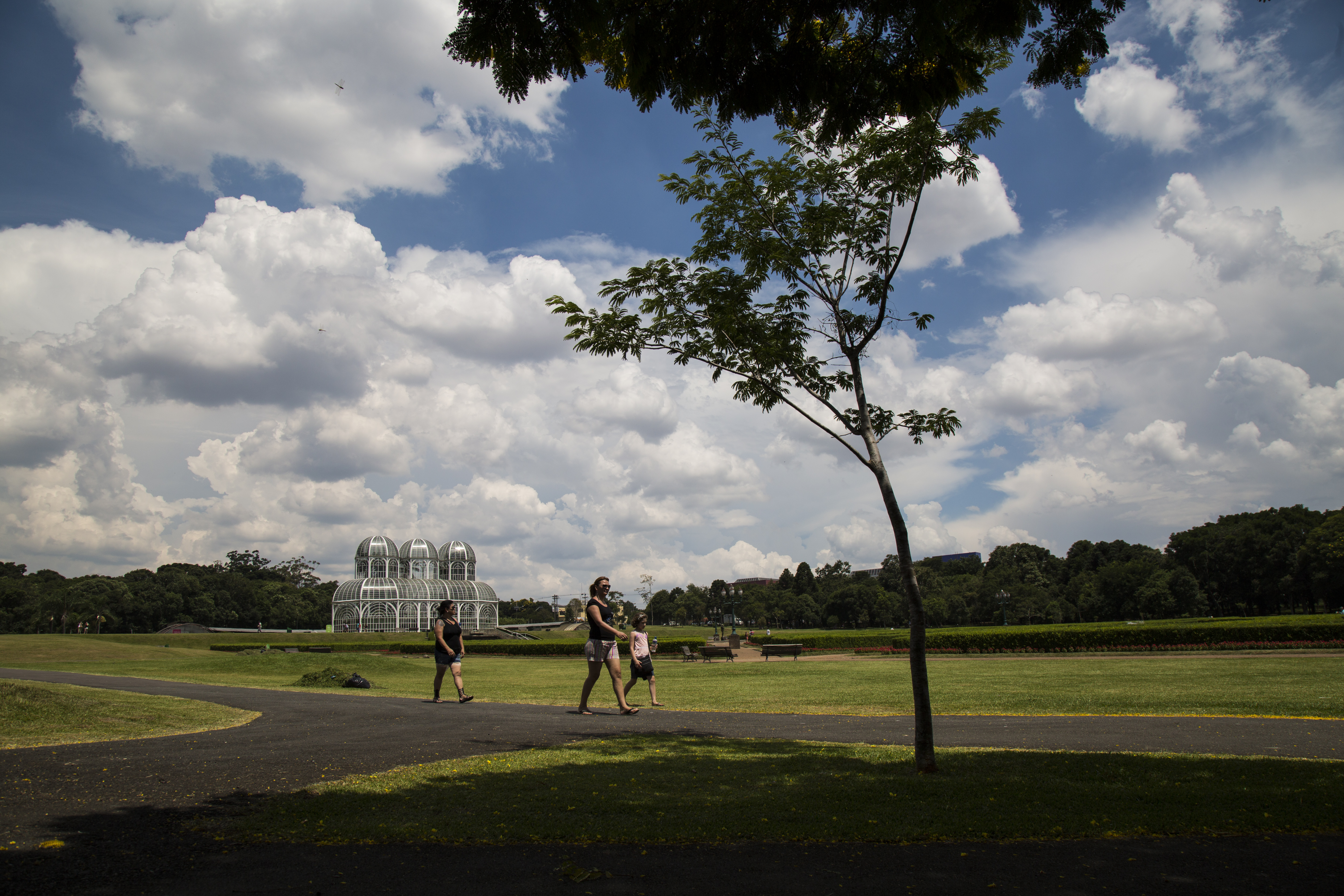 | Brunno Covello/Arquivo Gazeta do Povo