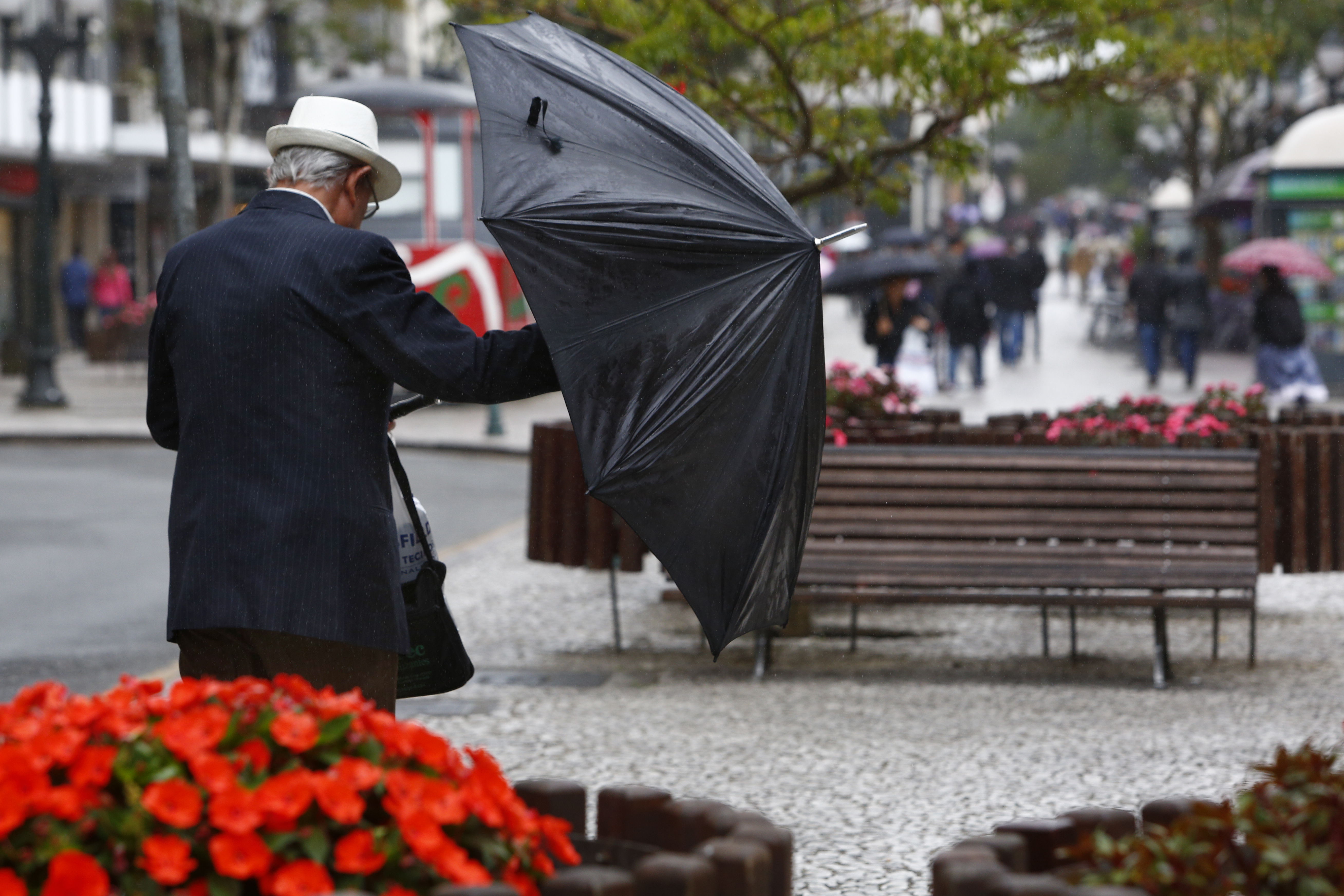 A chuva, que começou ainda durante a madrugada, não chegar a grandes acumulados | Aniele Nascimento/Gazeta do Povo