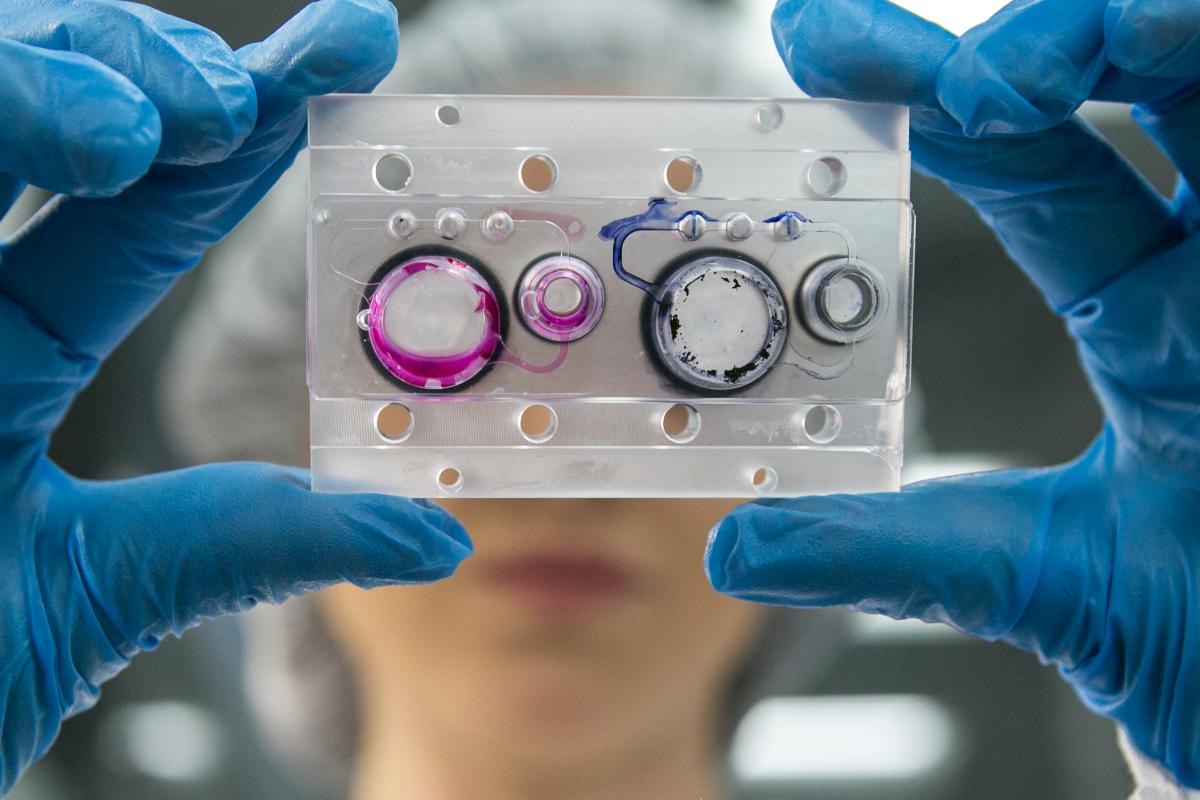  | Marcelo AndradeGazeta do Povo