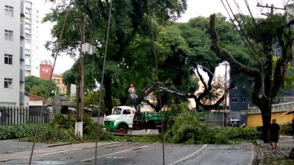 | Contribuição/Onório César de Freitas