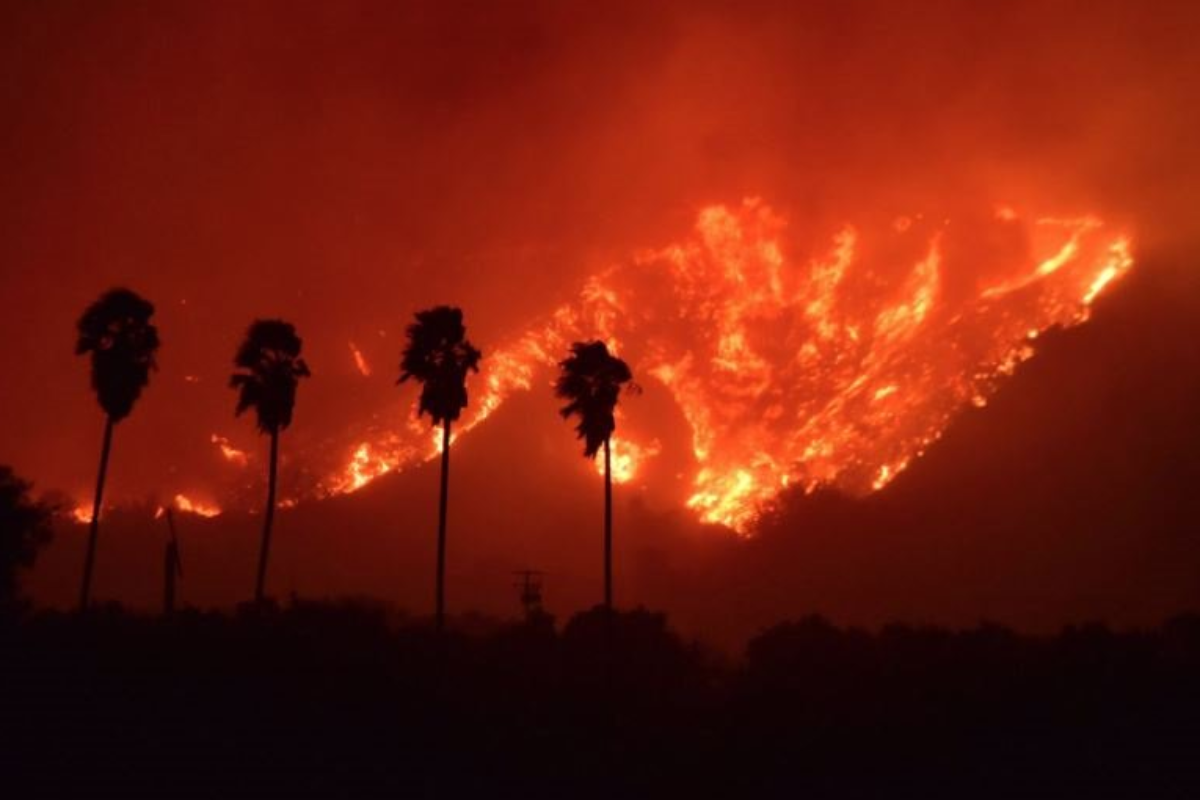 Além dos desabrigados, cerca de 250 mil pessoas estão sem energia por causa de incêndio na Califórnia | Reprodução