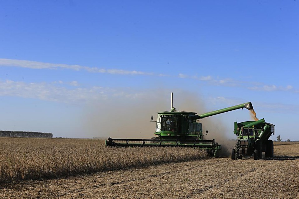 O incentivo ao setor da oleaginosa faz parte da estratégia do governo Macri de aumentar a competitividade das commodities agrícolas produzidas na Argentina. | Albari Rosa/Gazeta do Povo