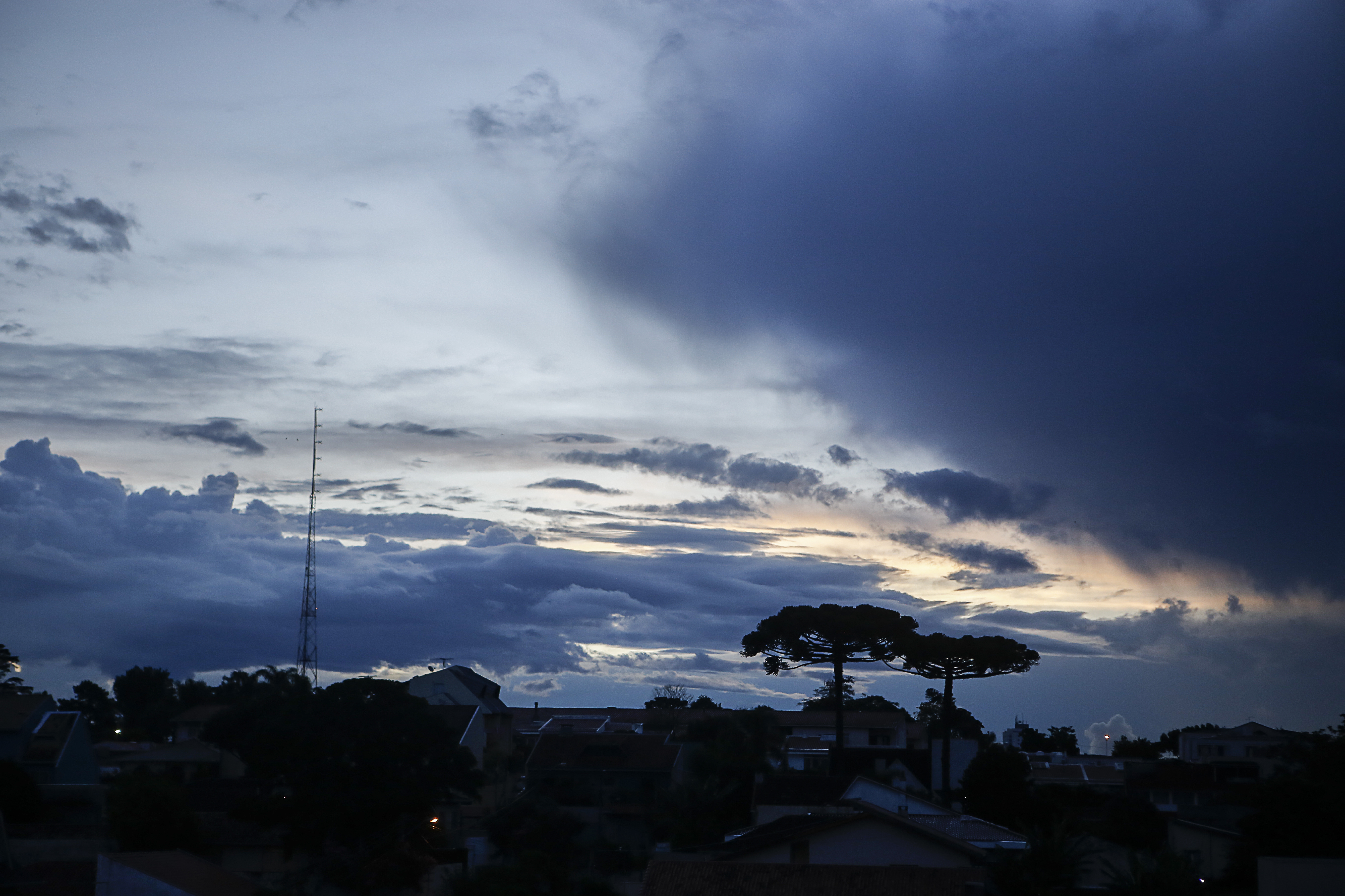 | Maicon J. Gomes/Gazeta do Povo