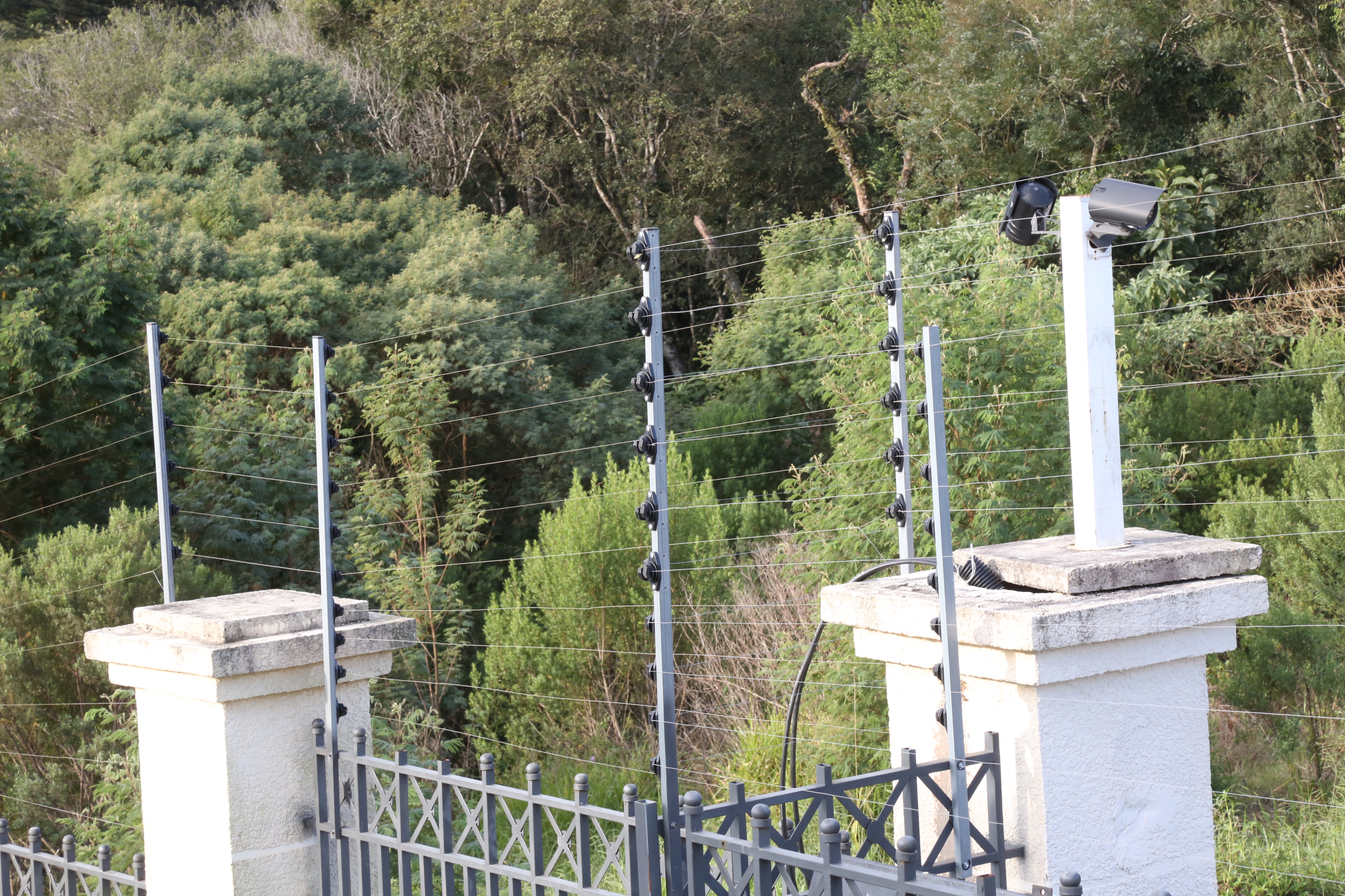  | Ivonaldo Alexandre/Gazeta do Povo