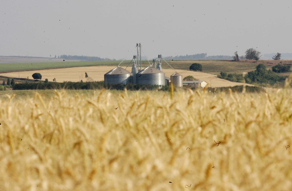 Ao todo, a Integrada possui 14 regionais e mais de 60 unidades de recebimento localizadas no Paraná e São Paulo. | Albari Rosa/Gazeta do Povo