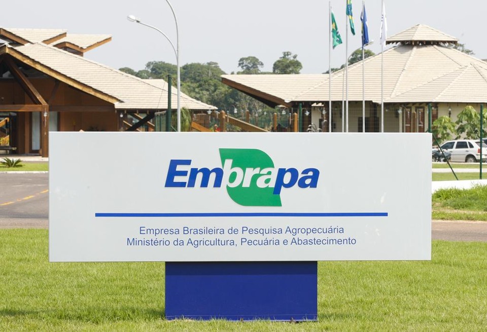 Fábrica de salários: estatais dependentes queimam 86% do orçamento com funcionários Dependência do Tesouro: 98% de todos os gastos da Embrapa são destinados a pagamento de pessoal e despesas correntes. | Hugo Harada/Gazeta do Povo