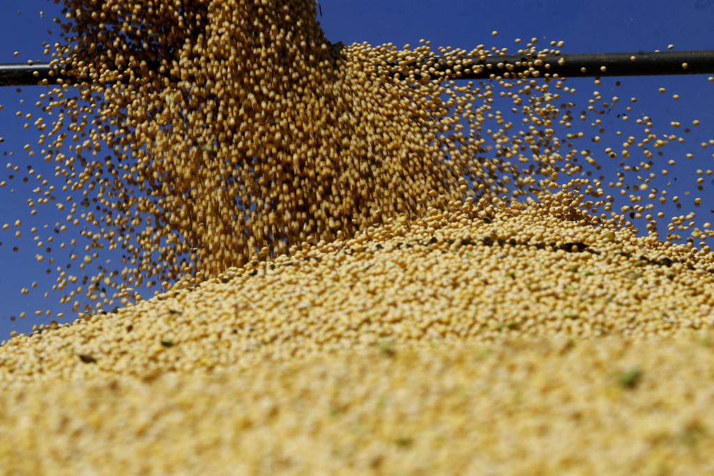 As últimas projeções do Levantamento Sistemático indicam que a safra de soja deverá atingir 112,3 milhões de toneladas. | Pedro Serapio/Gazeta do Povo