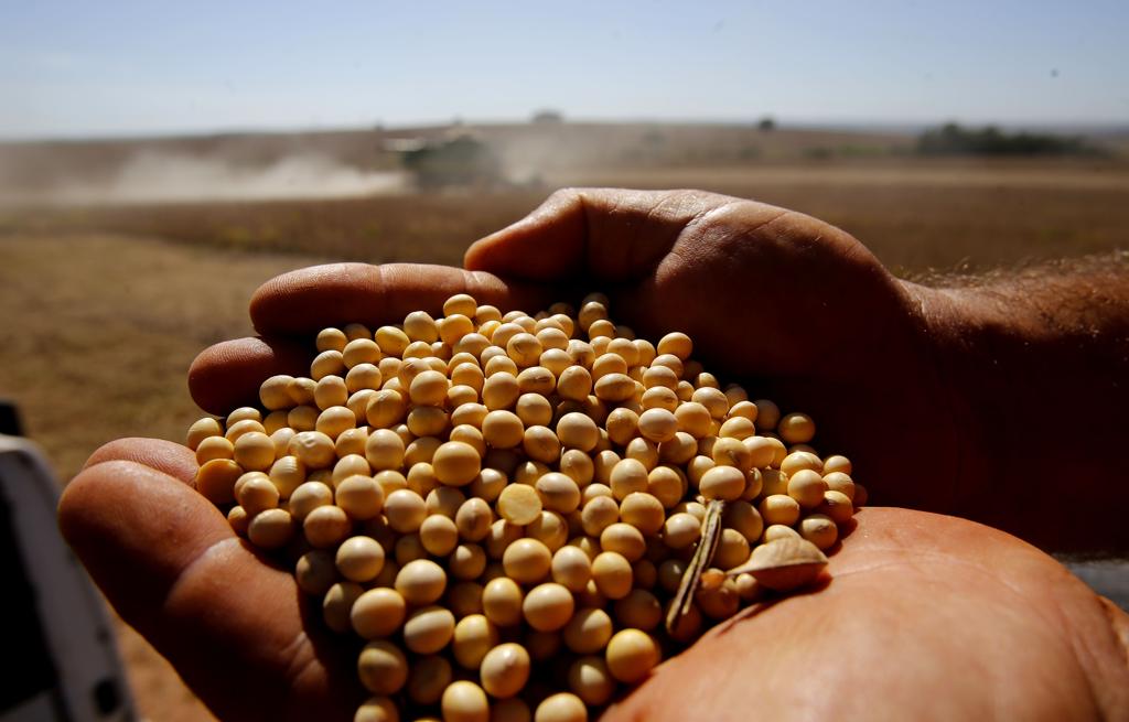 Em Mato Grosso, por exemplo, dos 31,2 milhões de toneladas de soja estimados pela Expedição Safra para o estado, apenas 42,4% foram vendidos. | Pedro Serapio/Gazeta do Povo